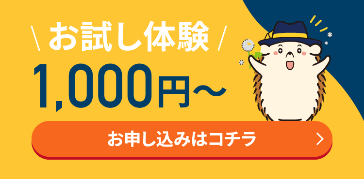 お試し体験1,000円~お申込みはコチラ