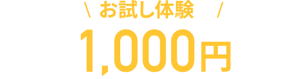 お試し体験が1,000円!(税込)